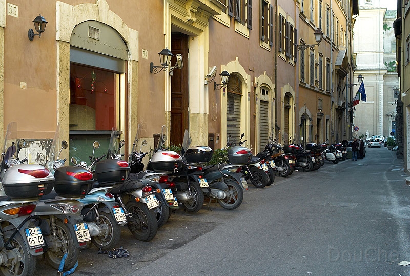 L1004008_800.jpg